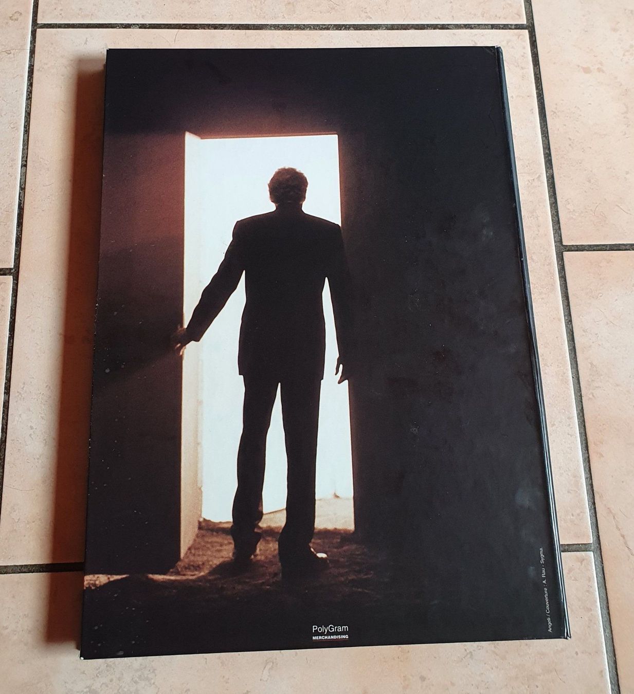 Dischi in vinile: Johnny Hallyday Plus Prés De Vous Coffret Edition Limitée – Usato da Botyre (Ayent) venduto da Viperine 2