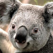 Profile image of gelleg11