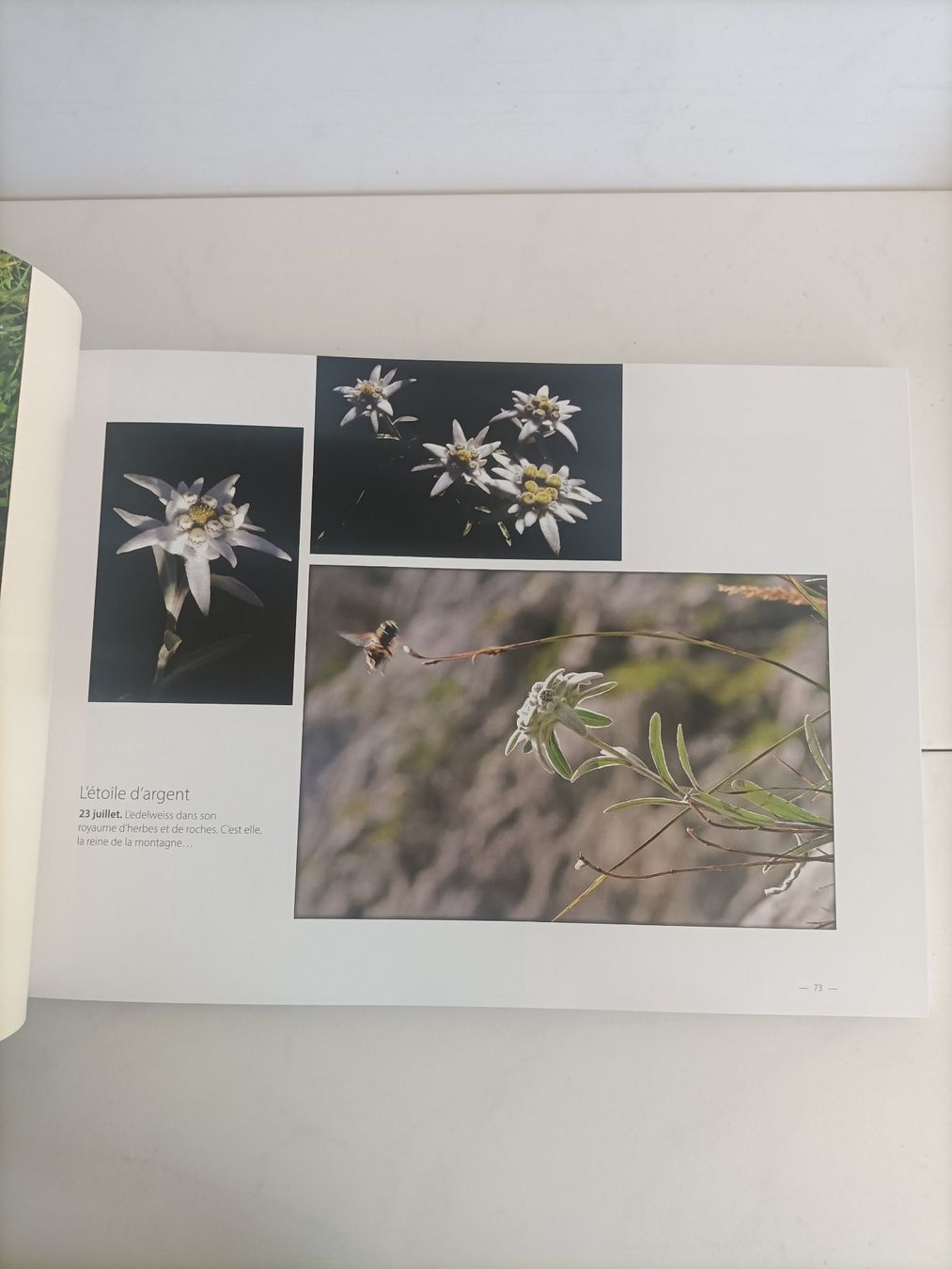 Livres: Carnets de ballades / Pascal Harwig / Hartwig 2016 – D'occasion à crans montana par AB3963 2