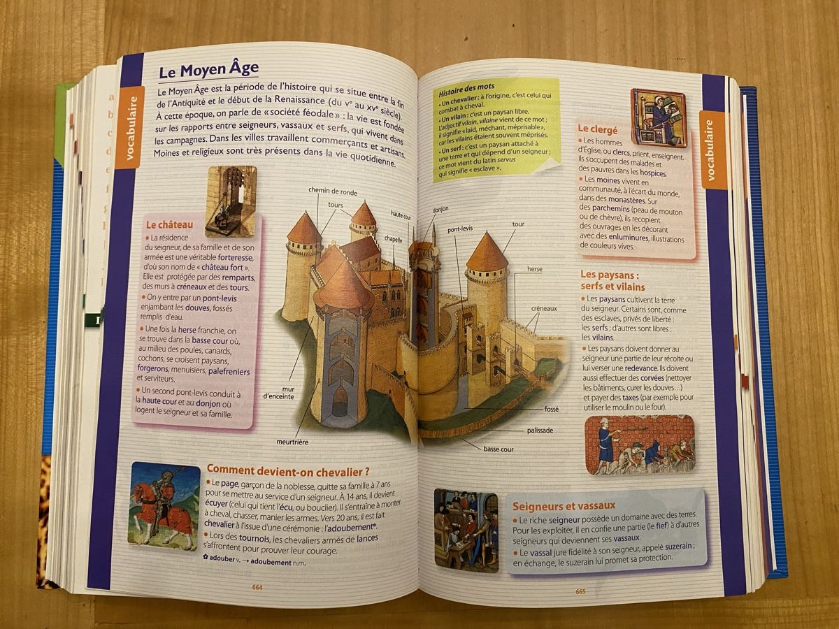 Libri: Dictionnaire 7-11 ans – Nuovo (secondo la descrizione) da sion venduto da ckmoi01 1