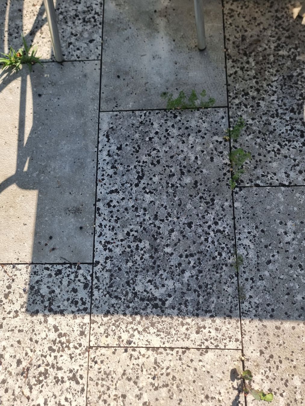 Revêtements de sol: Kalksteinplatten ab 10 CHF pro m2 – D'occasion à Sempach par Severin.Roth 7