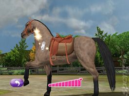 😎 Pony Freunds jetzt auch mit Shetland Ponys   DS