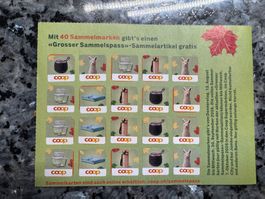 1 volle Karte grosser Sammelspass ( 40 Punkte )