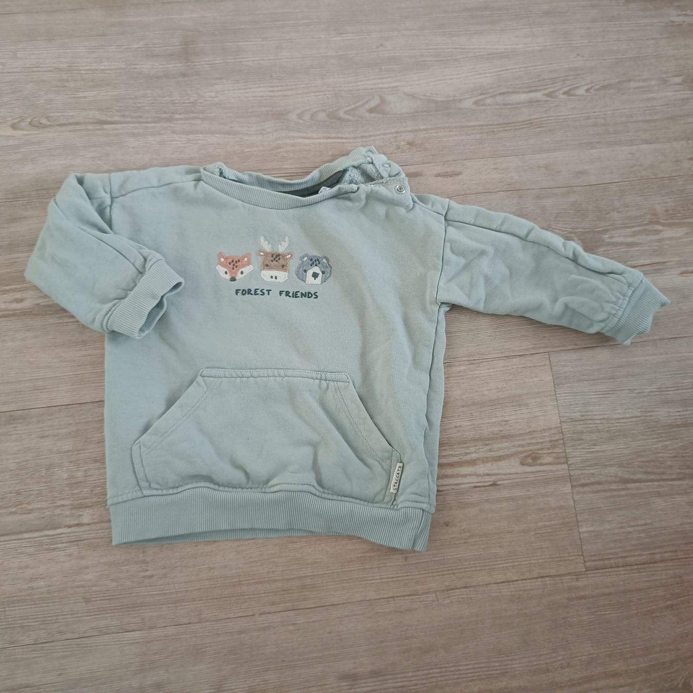 Maglioni & Felpe: Pullover Grösse 80 – Usato da Jaberg venduto da urig17.