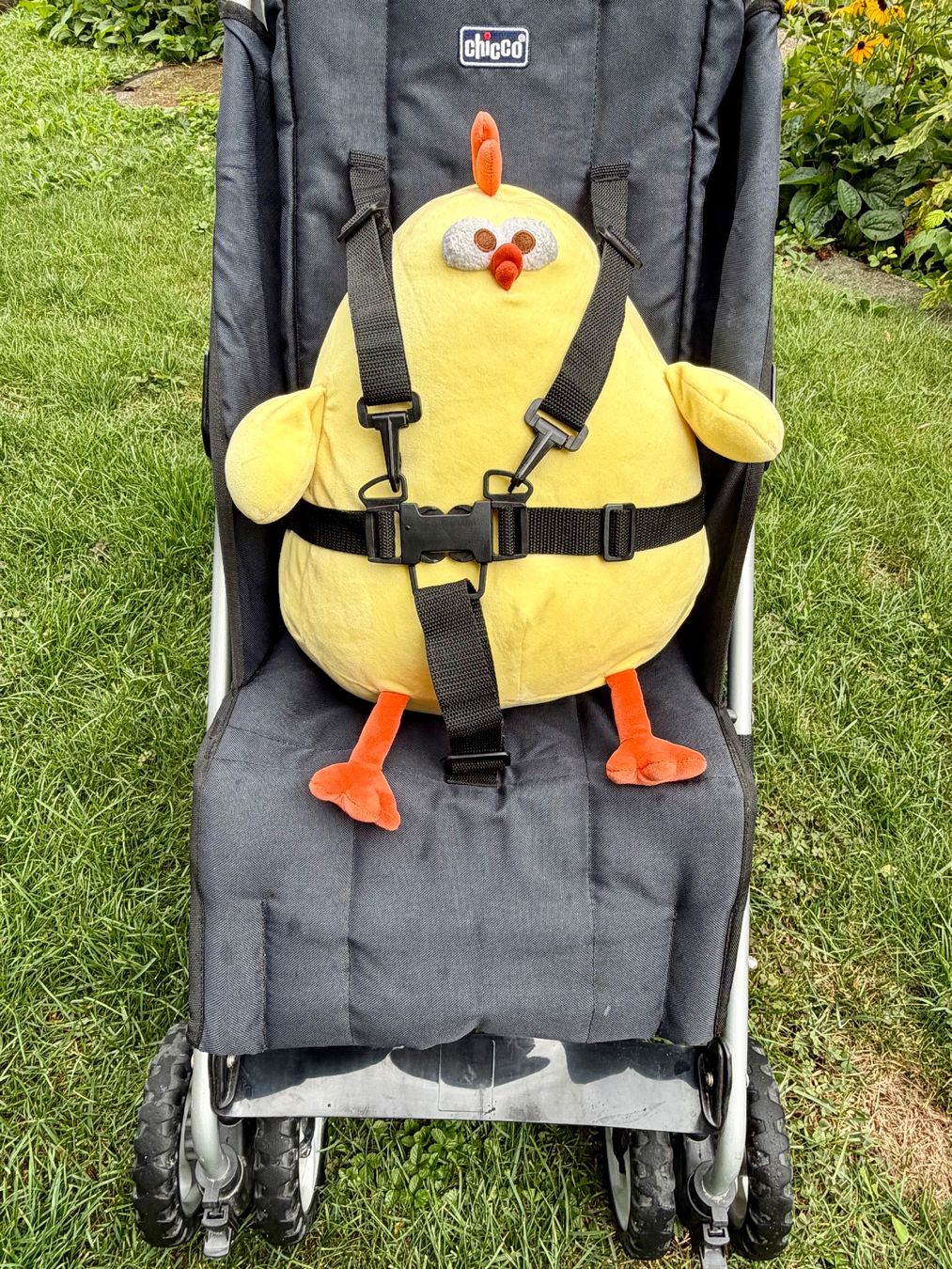 Chicco Kinderwagen: Chicco-Buggy – Gebraucht aus Ennetbürgen von Birkenbaum5 5