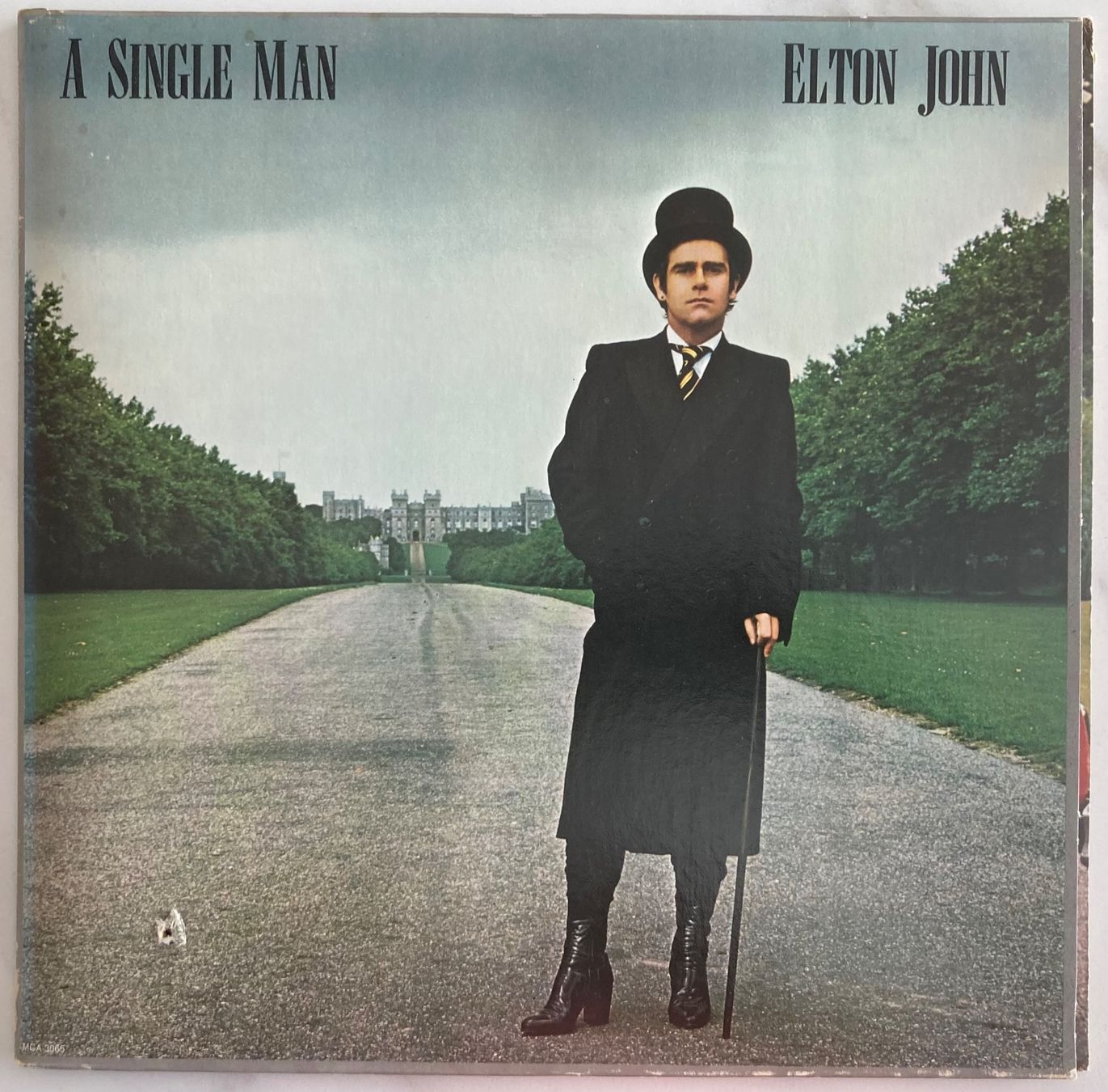 Dischi in vinile: ELTON JOHN - A SINGLE MAN – Usato da Poliez-Pittet venduto da Newtown-Records 1