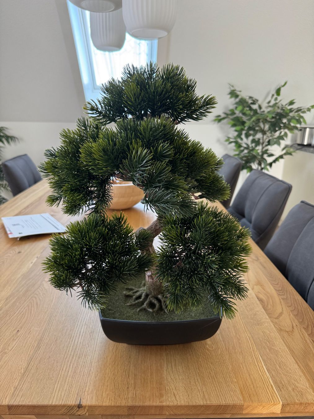 Piante & sementi: Kunstpflanze Bonsai Baum 50cm – Usato da Aadorf venduto da rin_7kjn