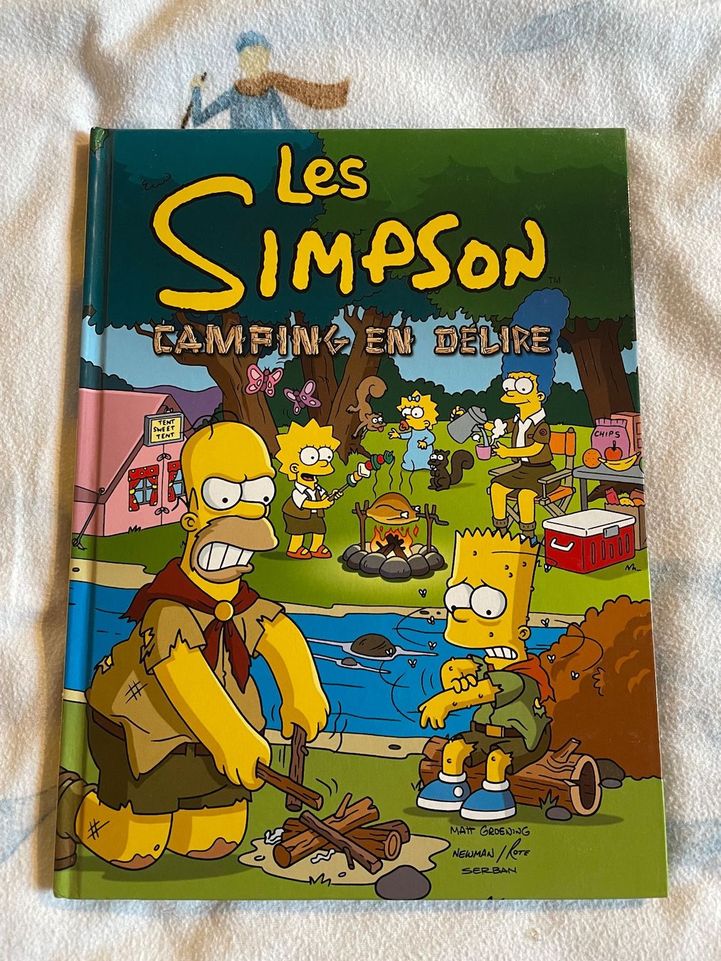 Comics: Les Simpson CAMPING EN DELIRE – Gebraucht aus Leytron von acb_00