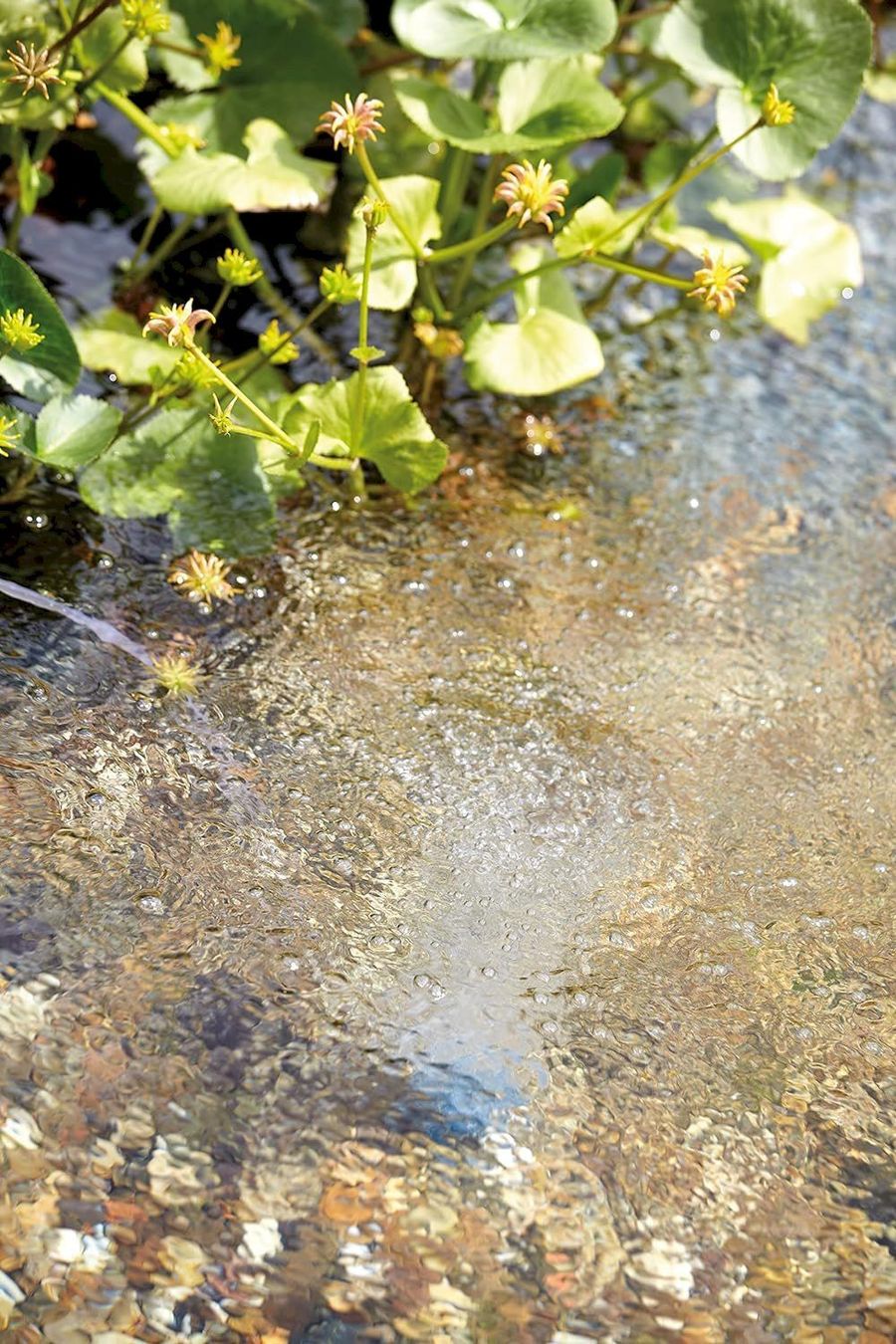 Teiche & Zierbrunnen: Oase AquaOxy 1000 Teichbelüfter – Neu und originalverpackt aus Bottighofen von zaap 2