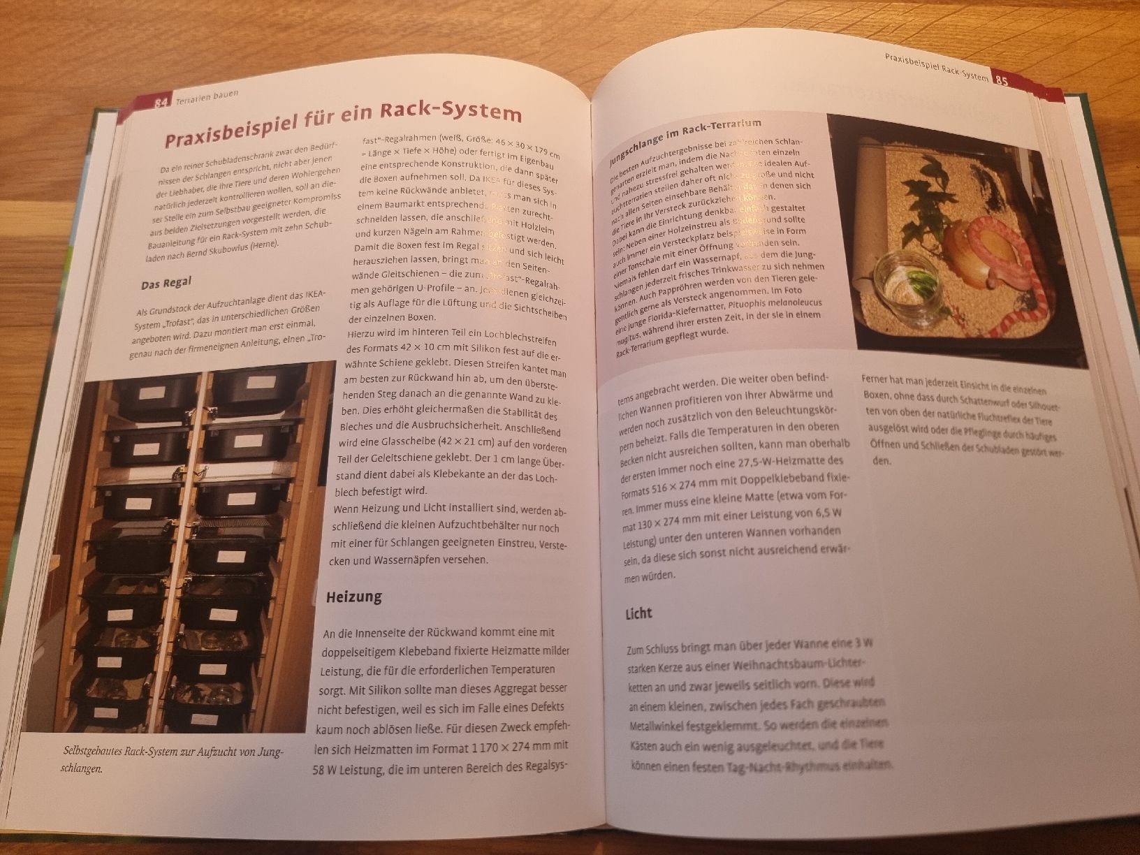 Libri: Terrarien bauen und einrichten – Nuovo (secondo la descrizione) da Derendingen venduto da Sarah.jana 2