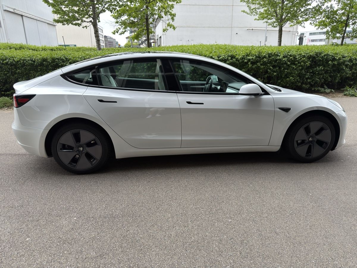 Tesla Automobili: Tesla Model 3 Longrange 2022 Weiss/Weiss – Usato da Pratteln venduto da FabianApp 2