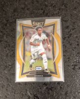 Endrick - Real Madrid - Panini