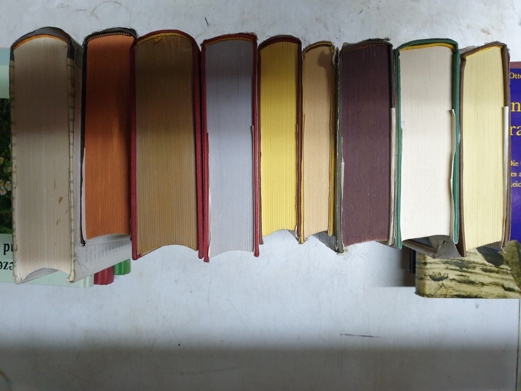 Libri: Alte  Antike  Bücher – Usato da Schönengrund venduto da lia_t65g 4