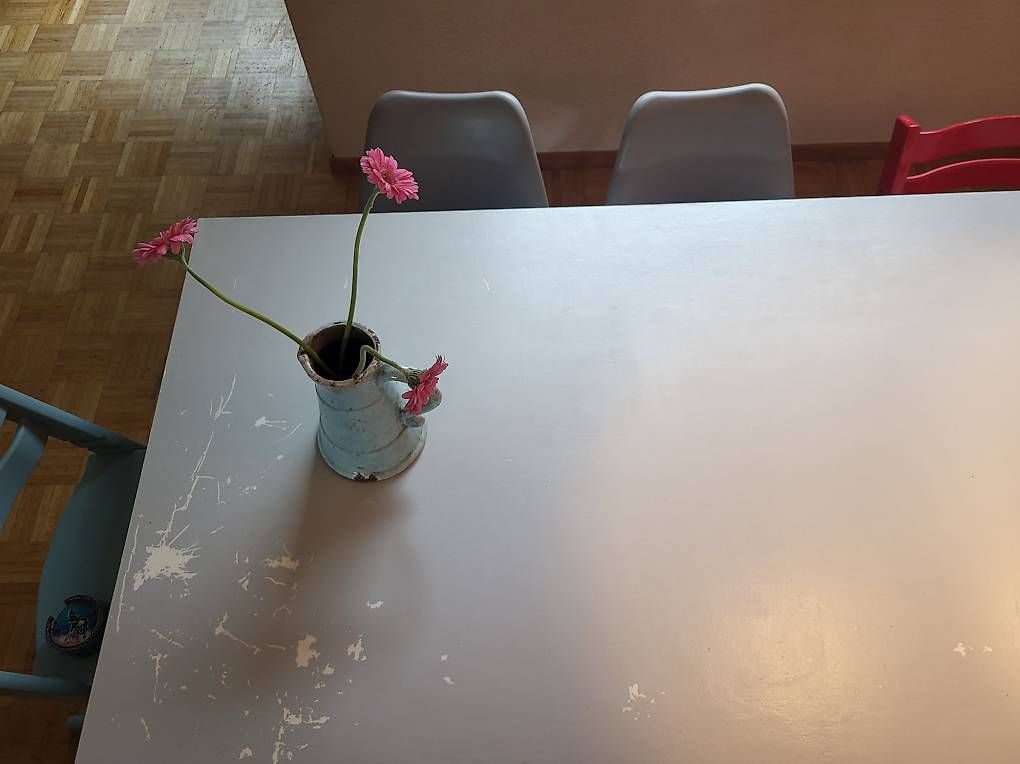 Tables: Gratis Robuster Esstisch – D'occasion à Adliswil par Swiss_Coolio 1