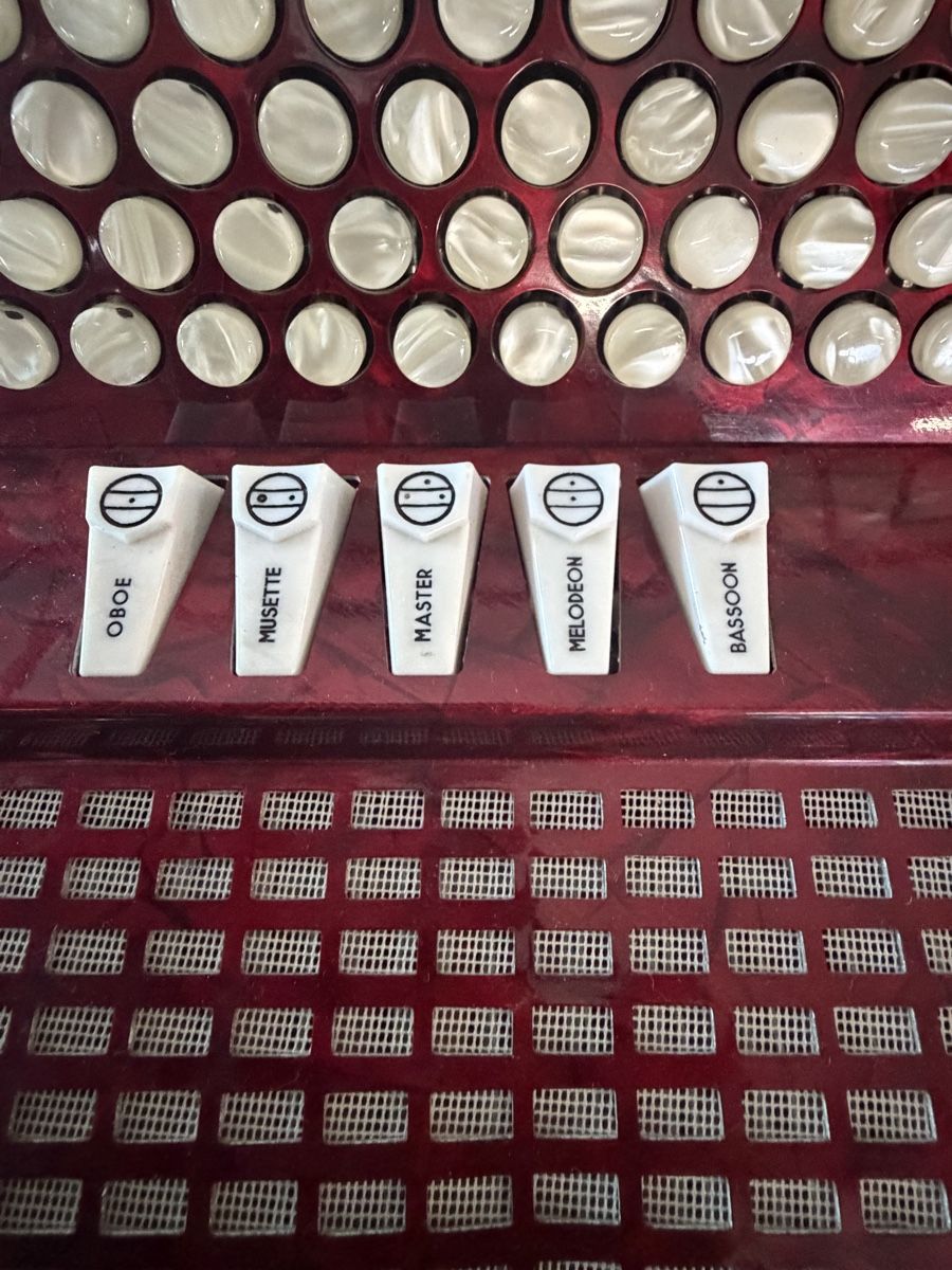 Excelsior Strumenti musicali: Excelsior 3 chòrig  – Usato da Muhen venduto da MiGeiss64 4