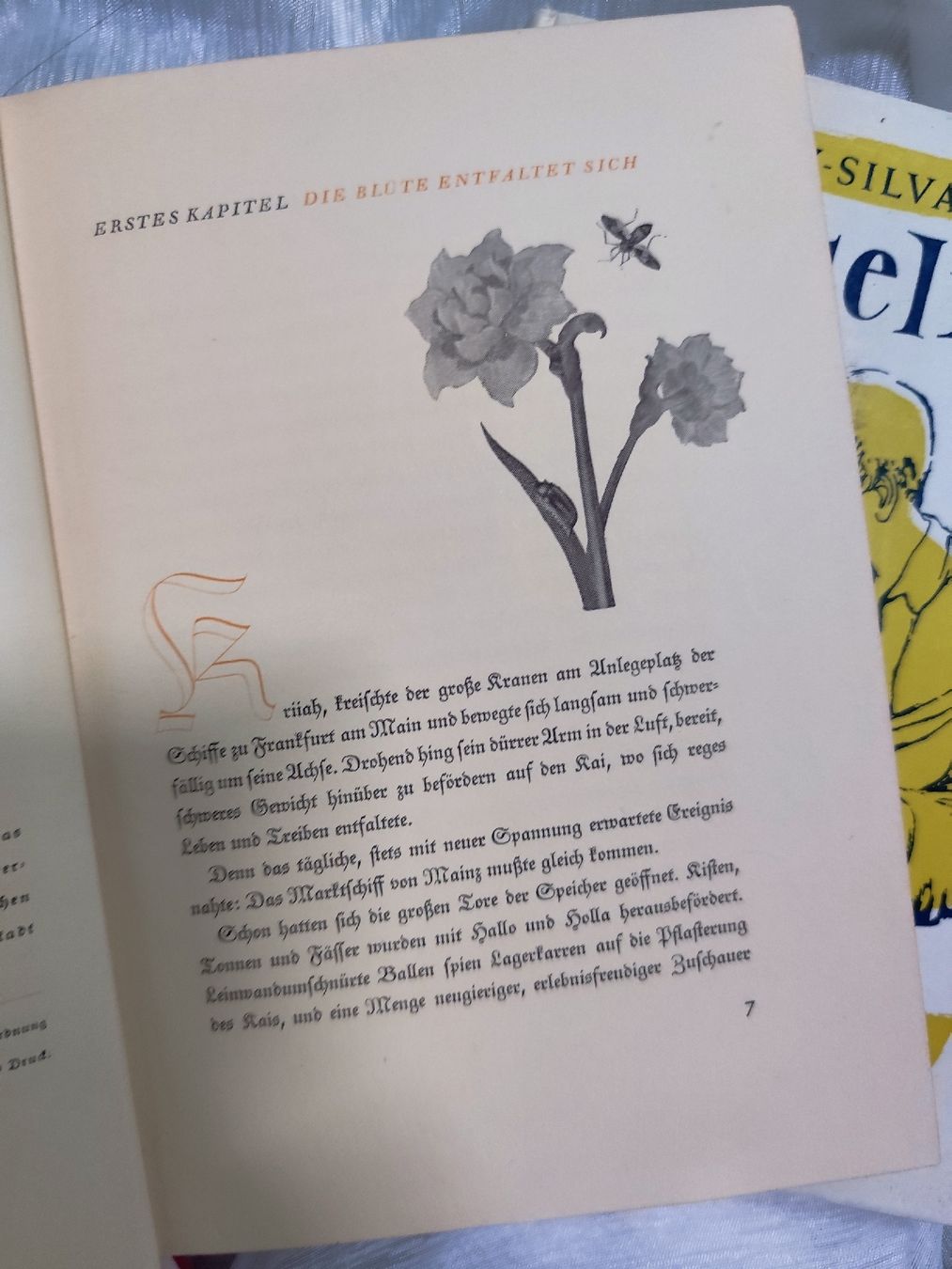 Libri: 4 alte vintage Kinderbuecher – Usato da Mägenwil venduto da VintageGirly 8