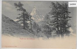 Partie auf der Riffelalp mit Matterhorn