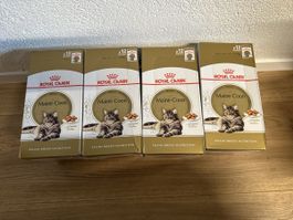 Royal Canin Maine Coon Nassfutter 48 Beutel