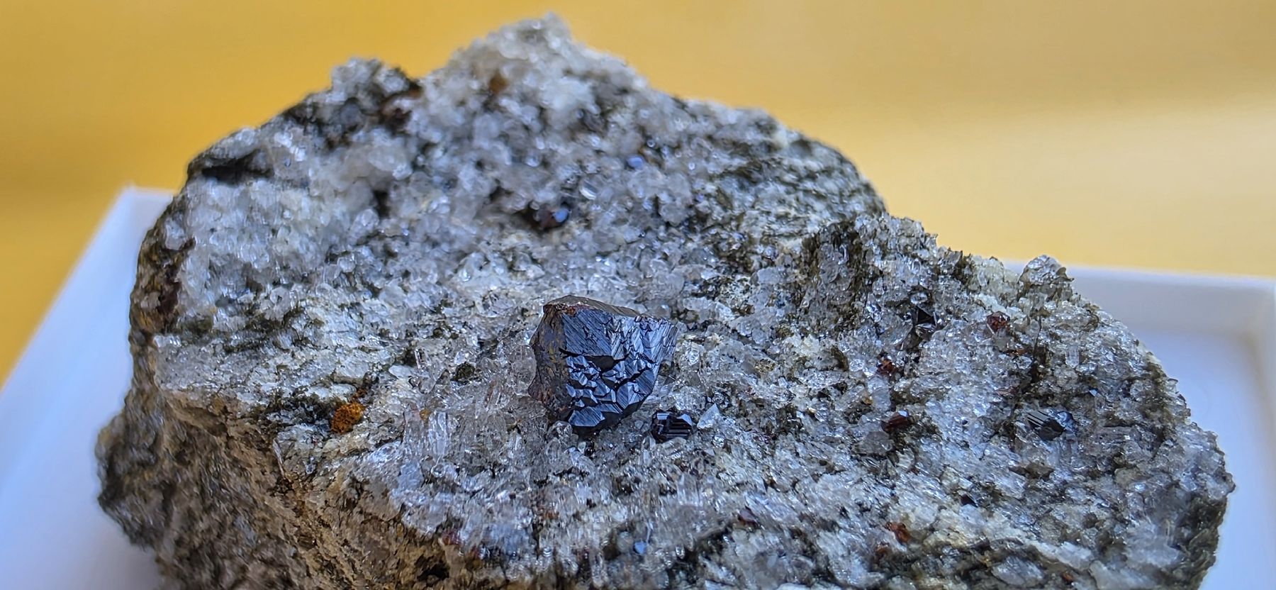Mineralien & Heilsteine: Knopfrutil auf heller Matrix. Magnetit mit Rutil Binntal – Gebraucht aus Glis von nbu_65ys 4