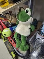 Grosser Kuschelfrosch sucht neues Zuhause! Sehr süss.