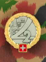 Béretemblem Territorialregion 2 Goldkranz, neu