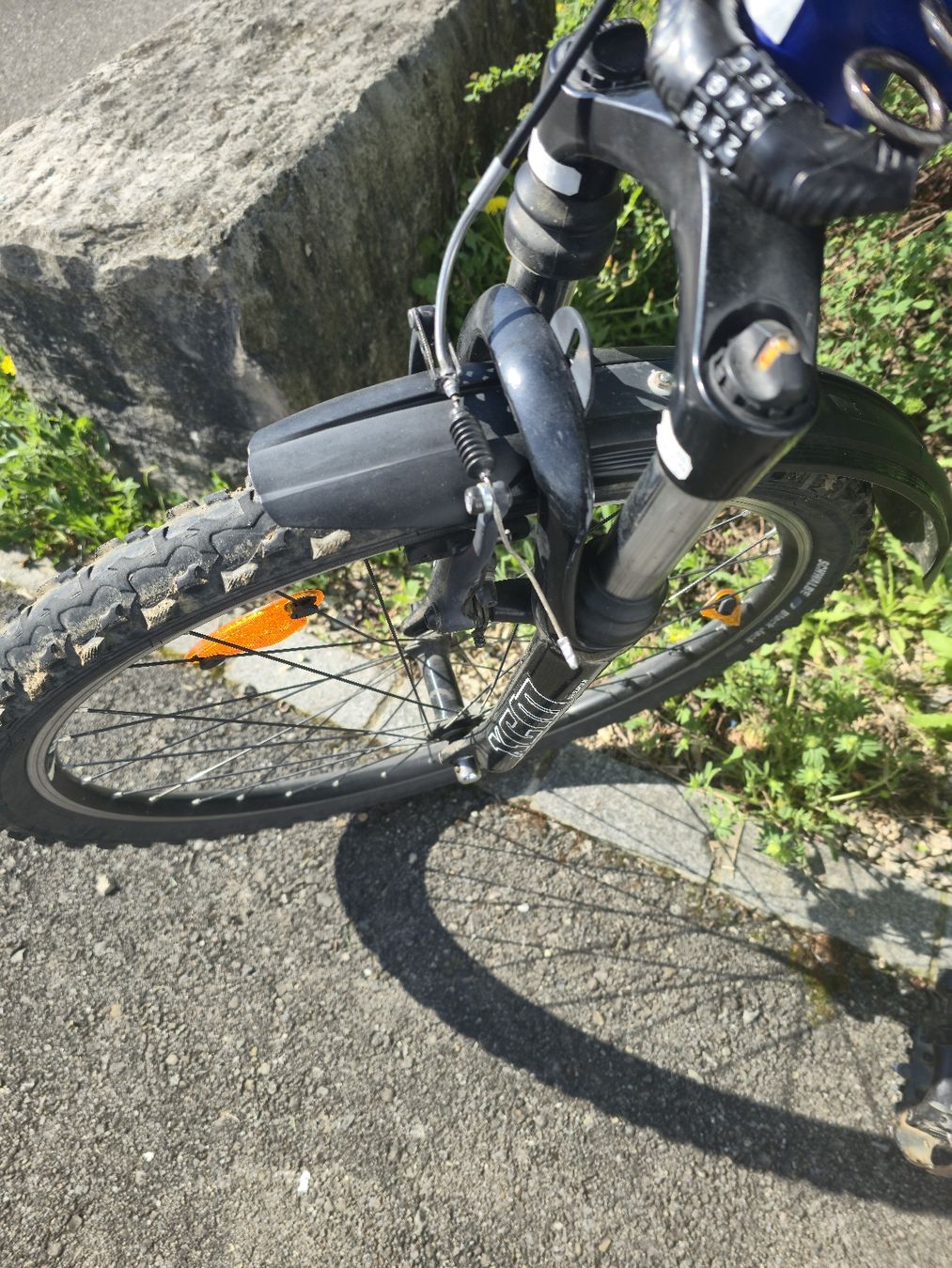 Biciclette: Canyon Jugendvelo – Usato da Ehrendingen venduto da Ince2016 3