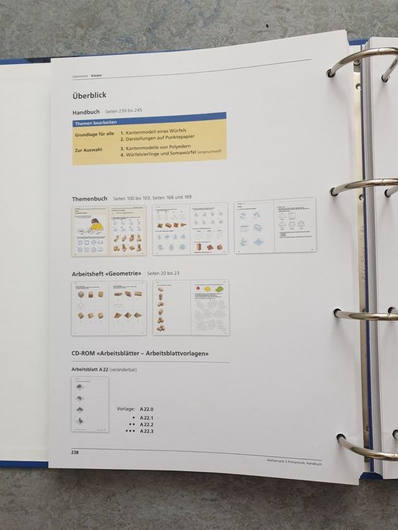 LMVZ Mathematik Primarstufe 5.Klasse - Handbuch | Kaufen Auf Ricardo