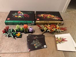 LEGO Kaktus und Trockenblumengesteck