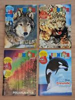 Junior Zeitschriften von 2014 bis 2019