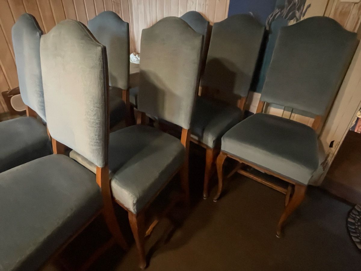 Sedie: 7 Esszimmer Stühle mit blauem Samtbezug, hellblau, – Nuovo (secondo la descrizione) da Pfyn venduto da Goodsell
