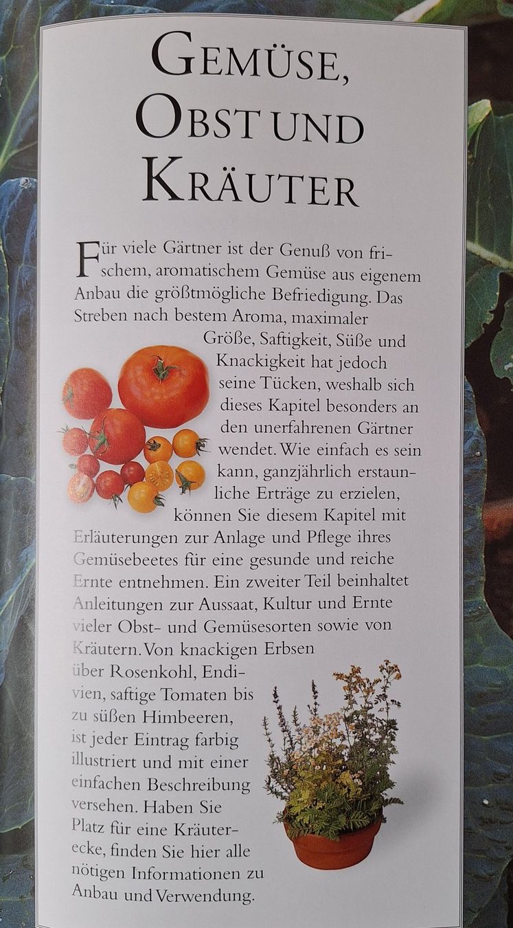 Libri: Buch Garten Handbuch 2000 – Usato da Oberriet SG venduto da Atir47 3