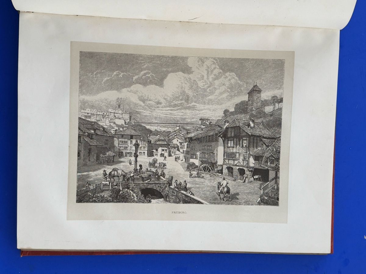 Libri: Das Schweizerland. Eine Sommerfahrt durch Gebirg und Thal. – Usato da Adliswil venduto da buch_und_kunst 7