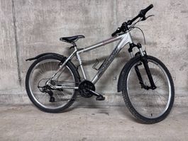Mountainbike Canyon silber Hardtail mit Schutzblechen