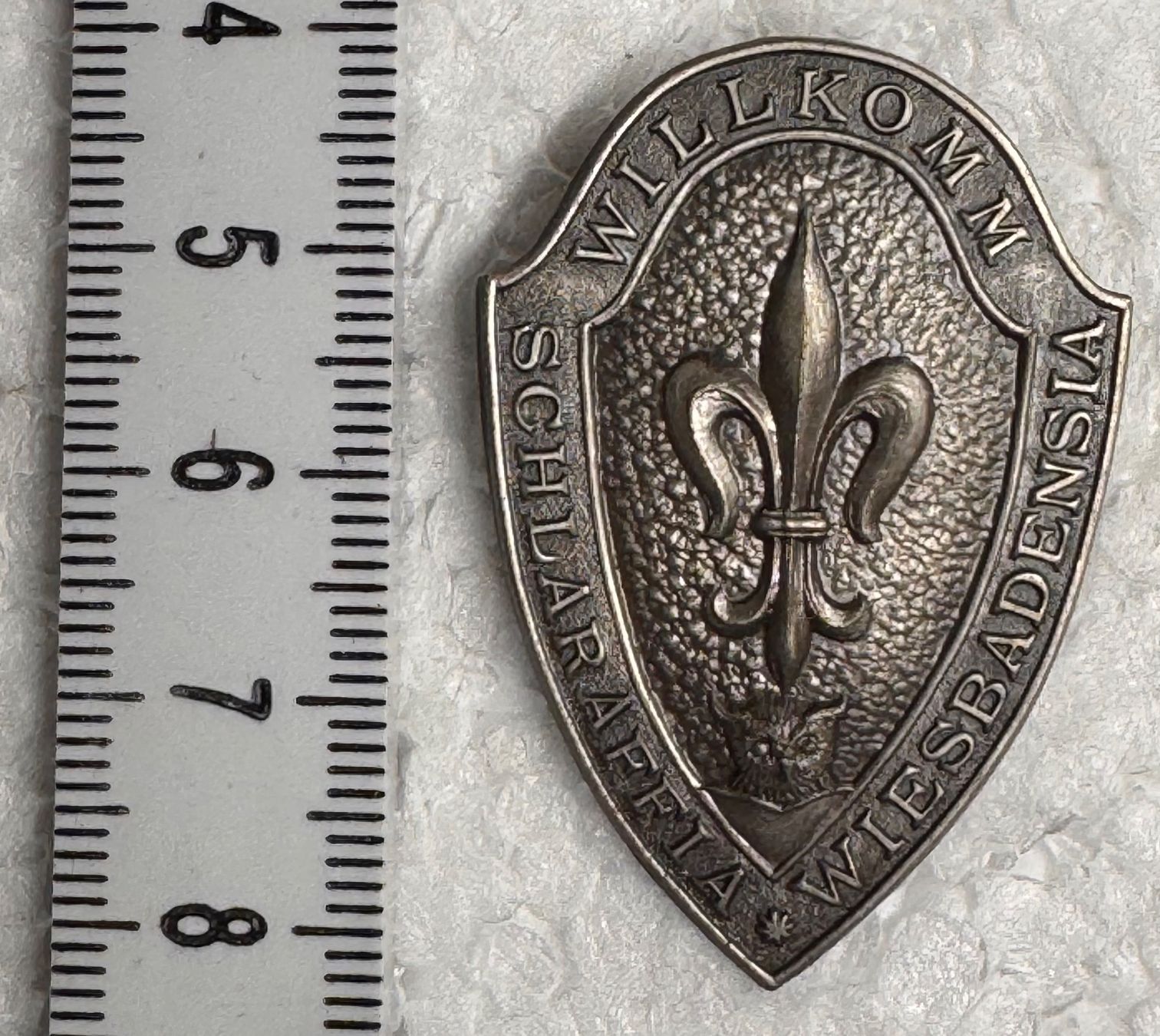 Schweizer Armee Plaketten & Abzeichen: Abzeichen, Schlaraffia Wiesbadensia – Gebraucht aus Andwil SG von Ariisa1234 3