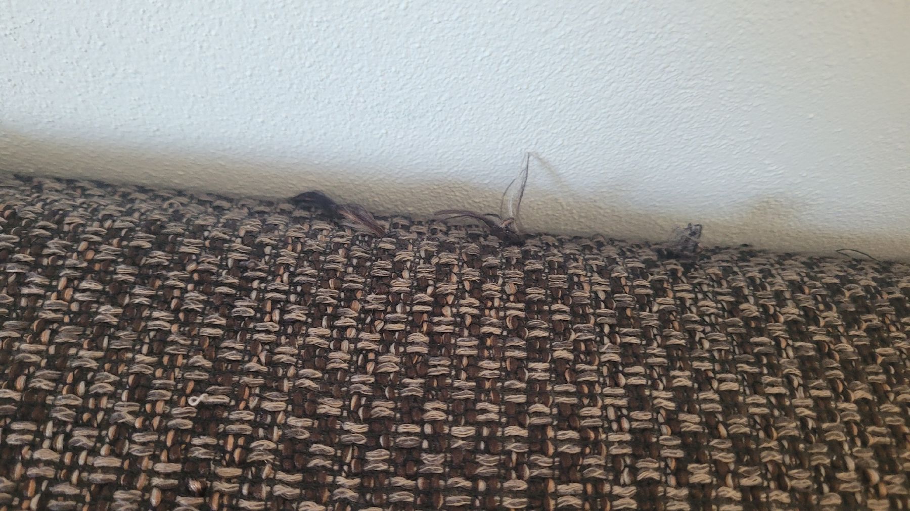 Divani: Sofa / Couch zum ausklappen – Usato da Brüttisellen venduto da mar_grv7 3