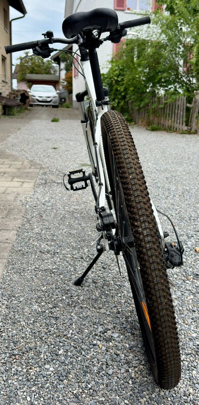 Leopard Velos: Leopard Alverstone – Gebraucht aus Altnau von ksi_n2g5 2