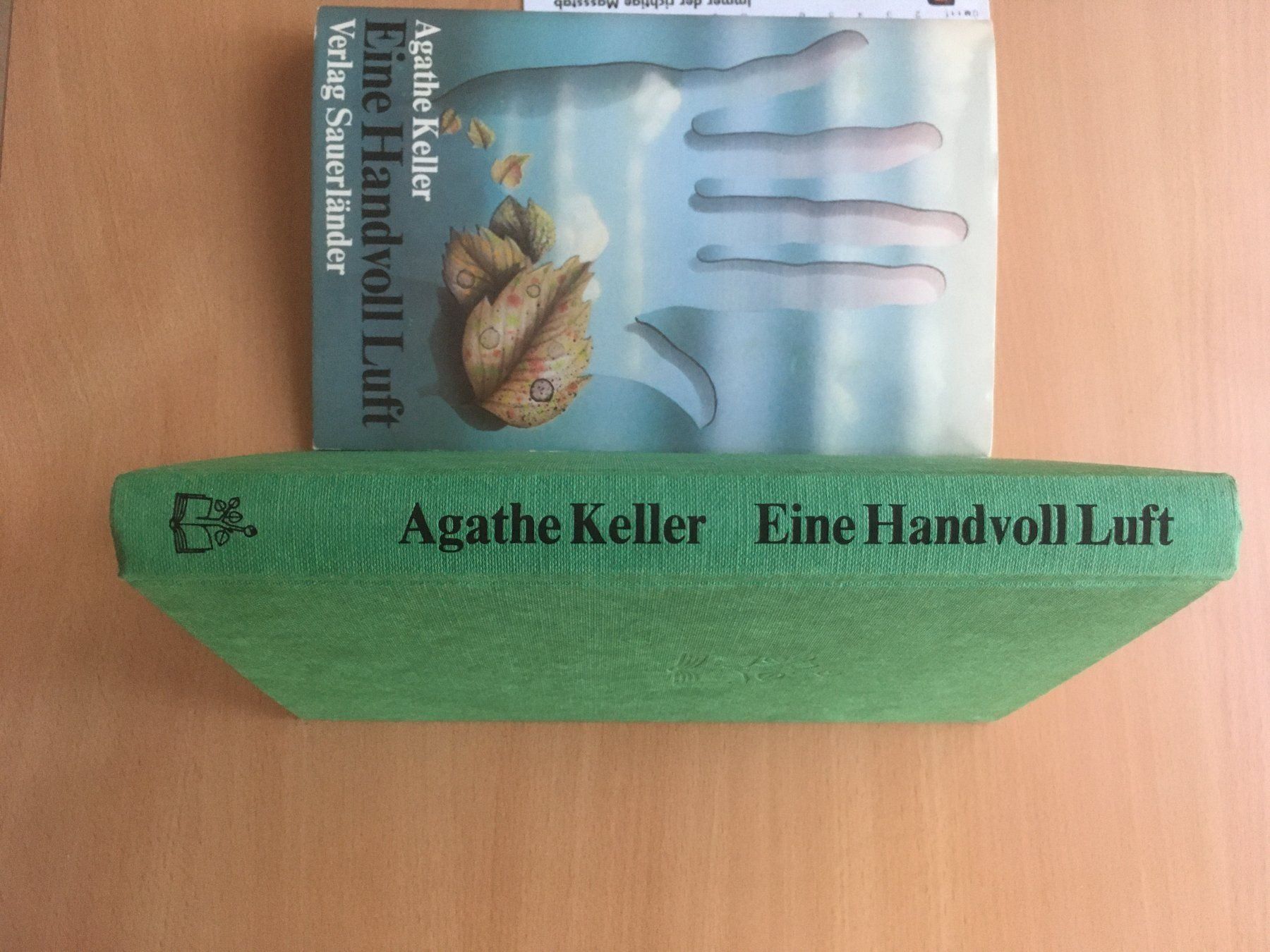 Libri: Eine Handvoll Luft; Agathe Keller – Usato da Grenchen venduto da Kogi7 1