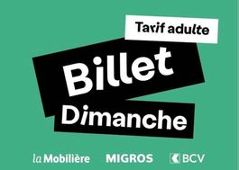 Paléo - 1 billet Dimanche Tarif Adulte