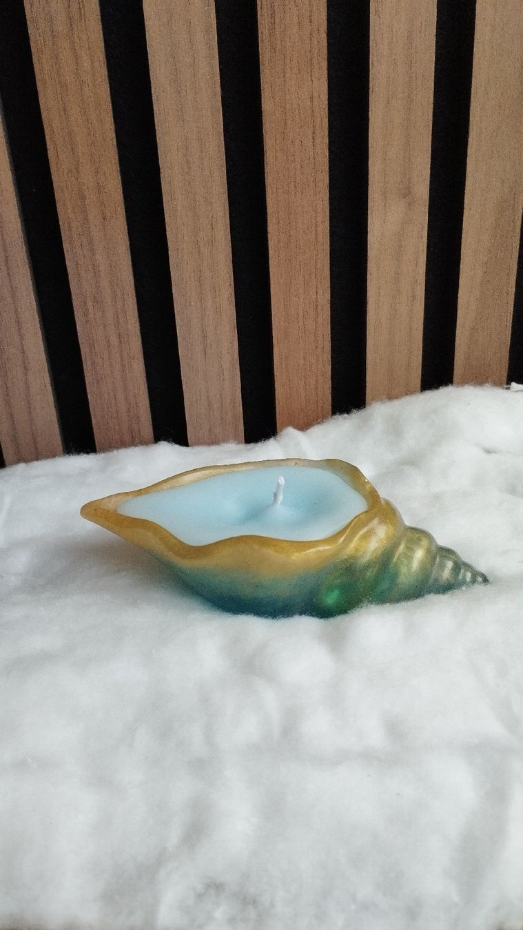 Tutte le decorazioni: Muschelkerze – Nuovo e nell'imballaggio originale da Reinach BL venduto da Nike231 2