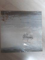 Langspielplatte Vinyl Genesis Wind and Wuthering