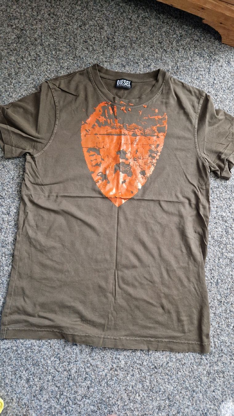 Diesel T-Shirts: Diesel T-Shirt – Gebraucht aus Hochfelden von Hueppi