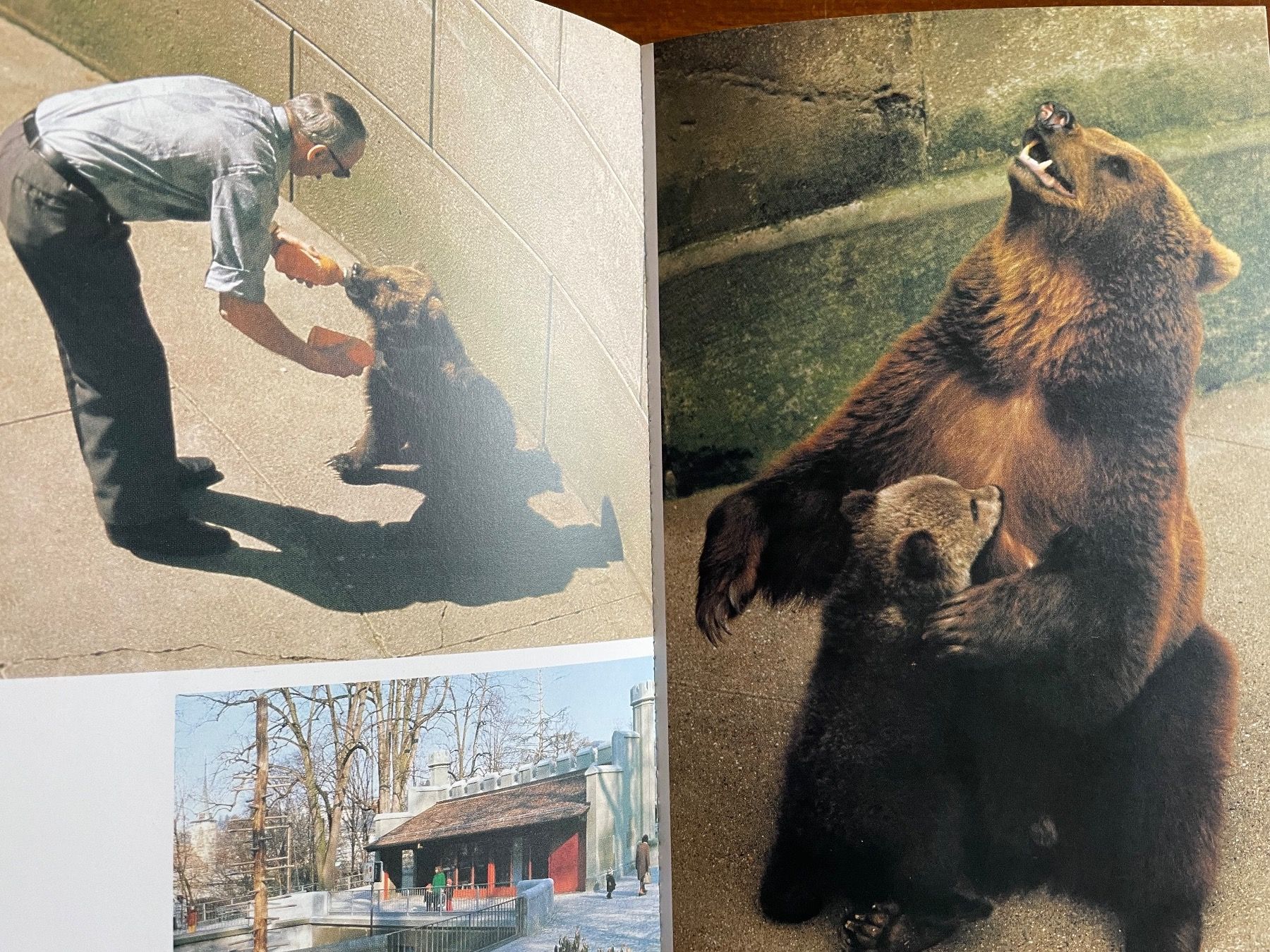 Livres: Buch Bern in Farben – D'occasion à Wyssachen par Hahe89 4