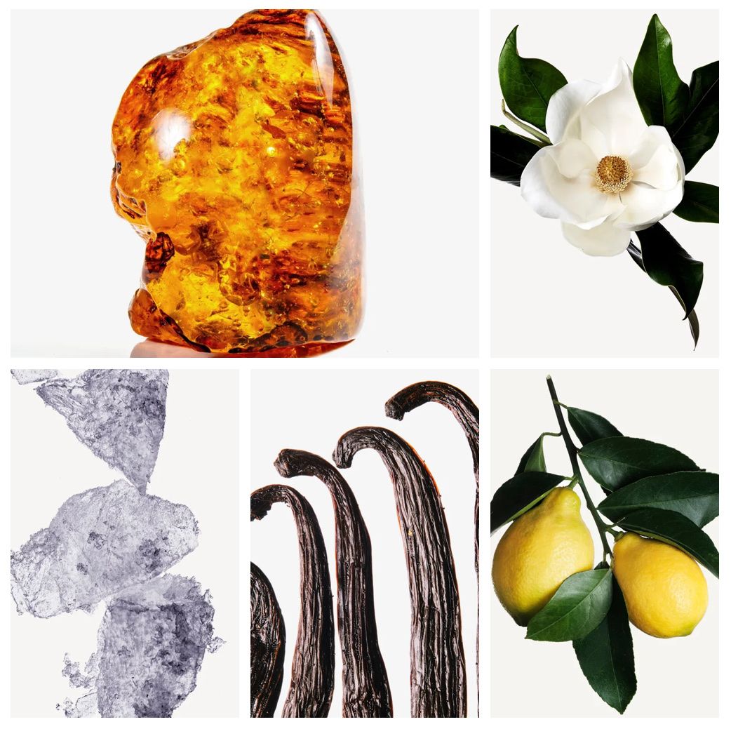 Parfum & Eau de Toilette: ORMONDE JAYNE AMBROISÉ PARFUM – Neu (gemäss Beschreibung) aus Kriens von marsileacrenata 3