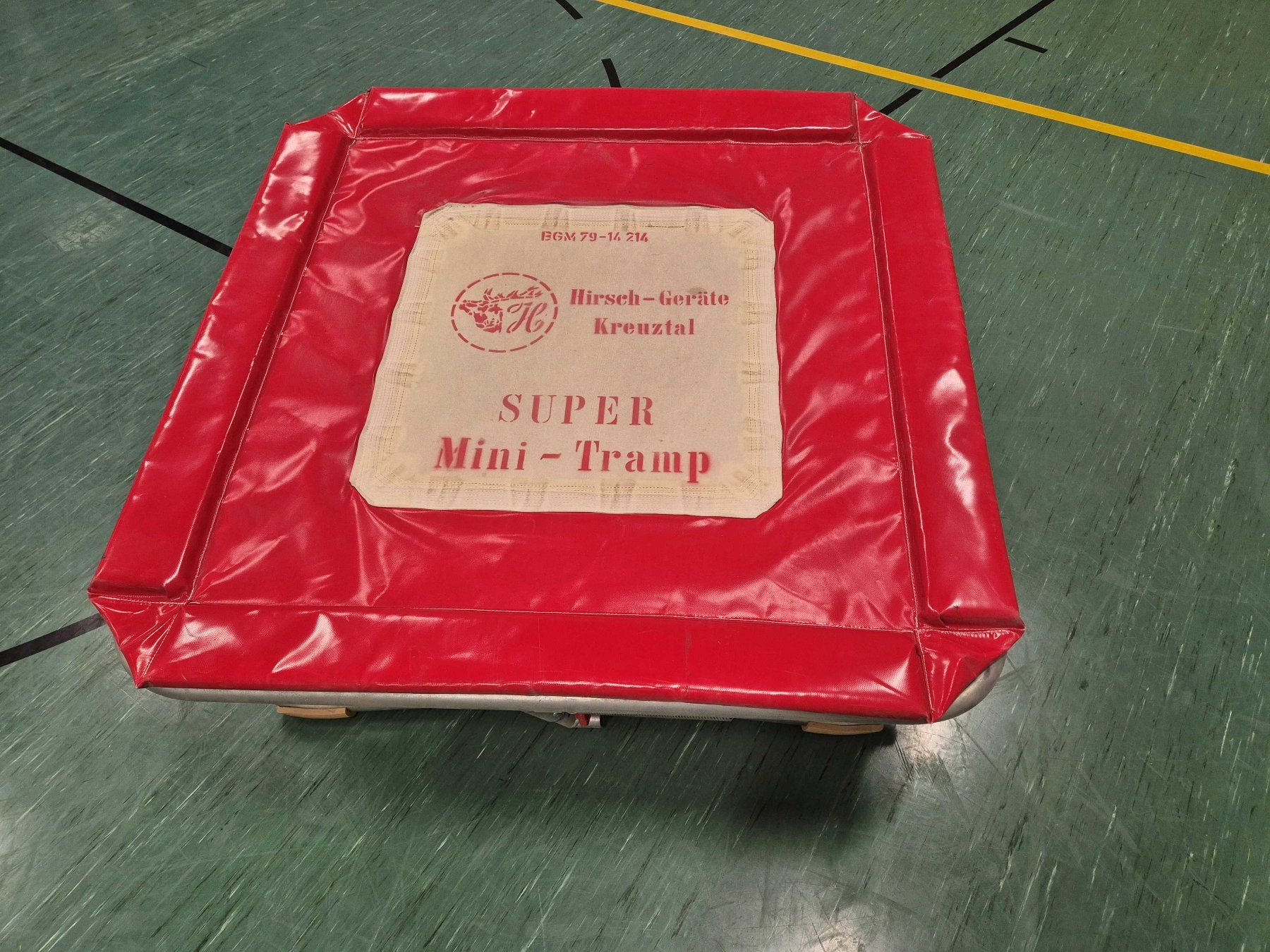 Trampolini: Gymnastik - Sprungbrett   Minitramp "Super" – Usato da Basel venduto da danastep