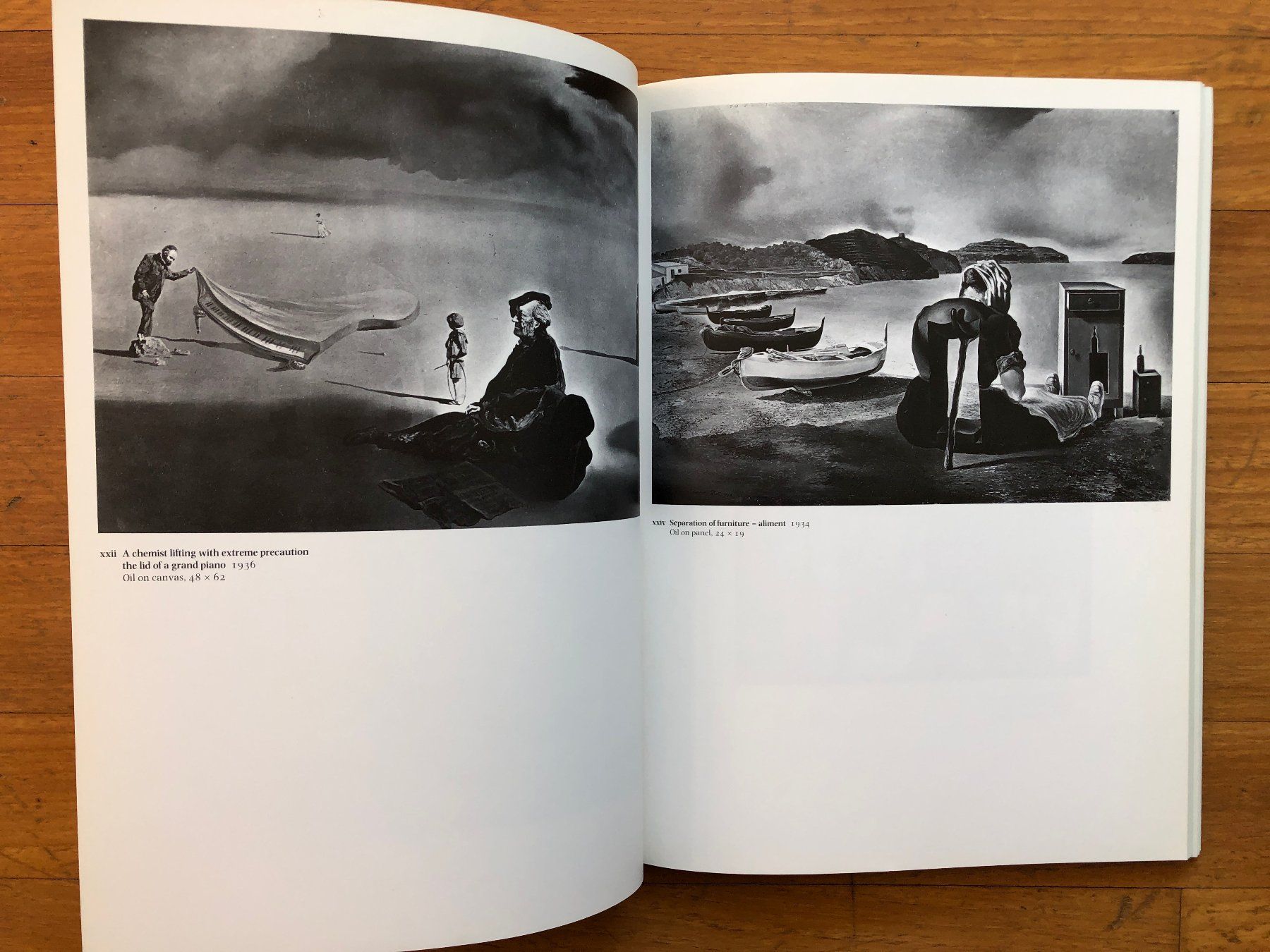 Libri: Kunst Buch: SALVADOR DALI - Tate Gallery – Usato da Lugano venduto da gio.yo 4