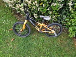 Specialized Kinderfahrrad / Laufrad – Sportlich, leicht