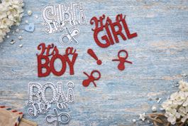 2 neue Stanzschablonen-Set Baby / Geburt It's a boy! / girl!