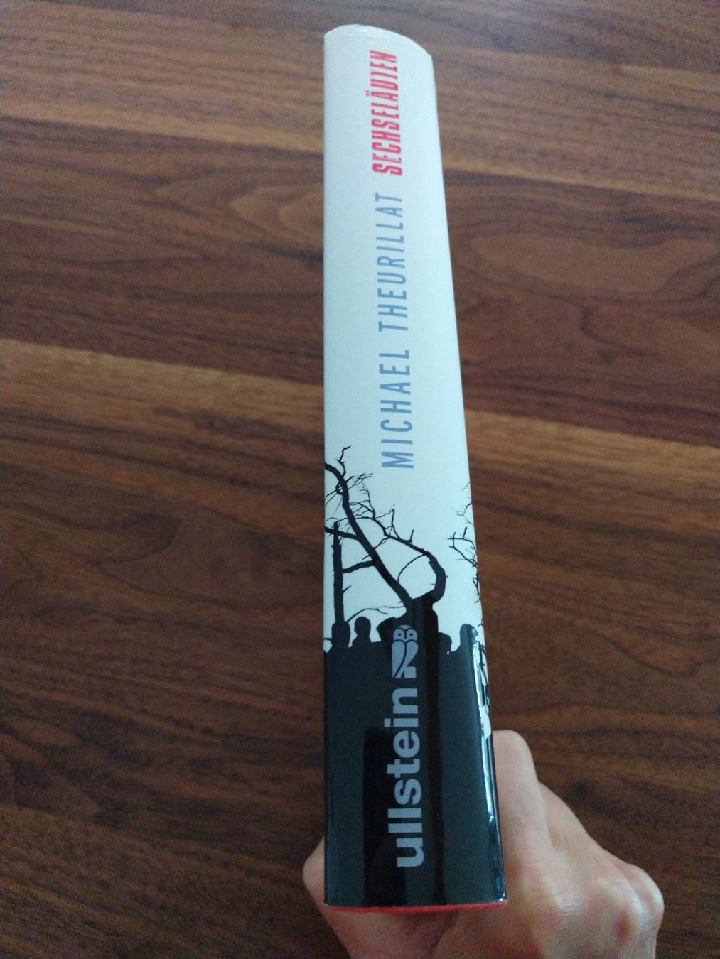Libri: Michael Theurillat - Sechseläuten – Usato da Bergdietikon venduto da Tanne_10 2
