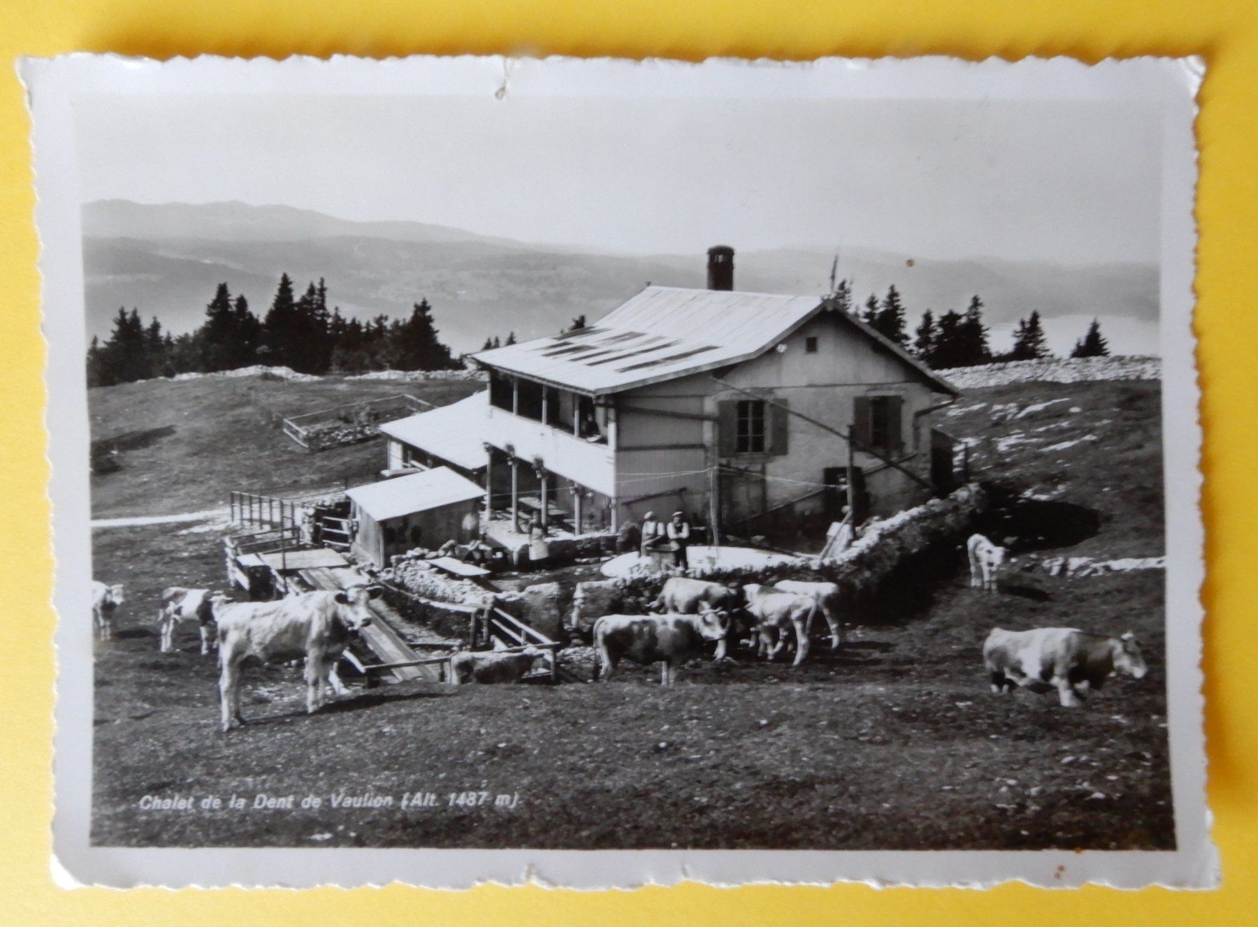 Cartoline postali: Carte postale - Chalet Dent de Vaulion - Poste Campagne – Usato da Senèdes venduto da Framboise52
