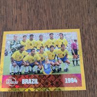 Panini 26 FWC15